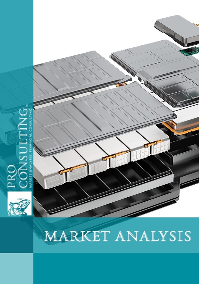 Market research report on batteries for electric transport in Ukraine. 2024 year